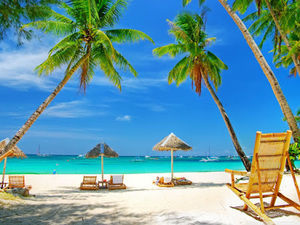 Meet your Posher, Liz